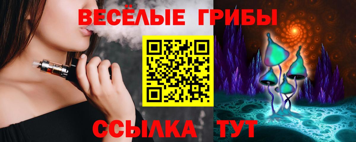 Псилоцибиновые грибы Psilocybine cubensis Нижнекамск
