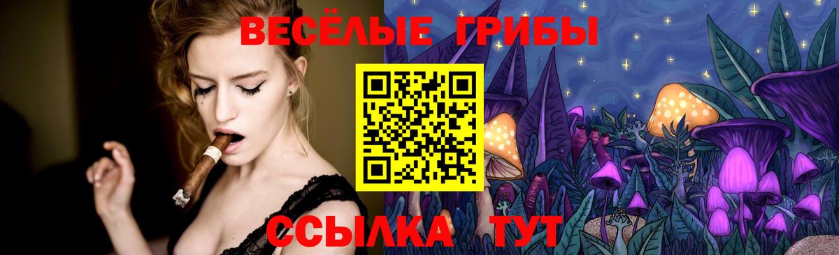 Нижнекамск  Псилоцибиновые грибы ЛСД  Псилоцибиновые грибы мицелий  Вход с VPN 